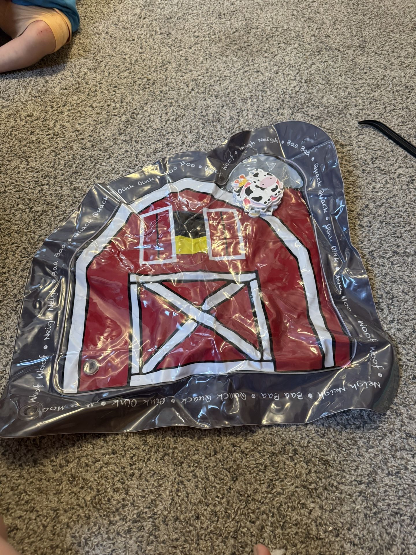 Water Tummy Time mat