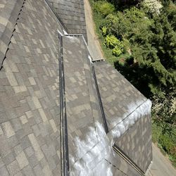 Roof/gutter/moss treatment Service