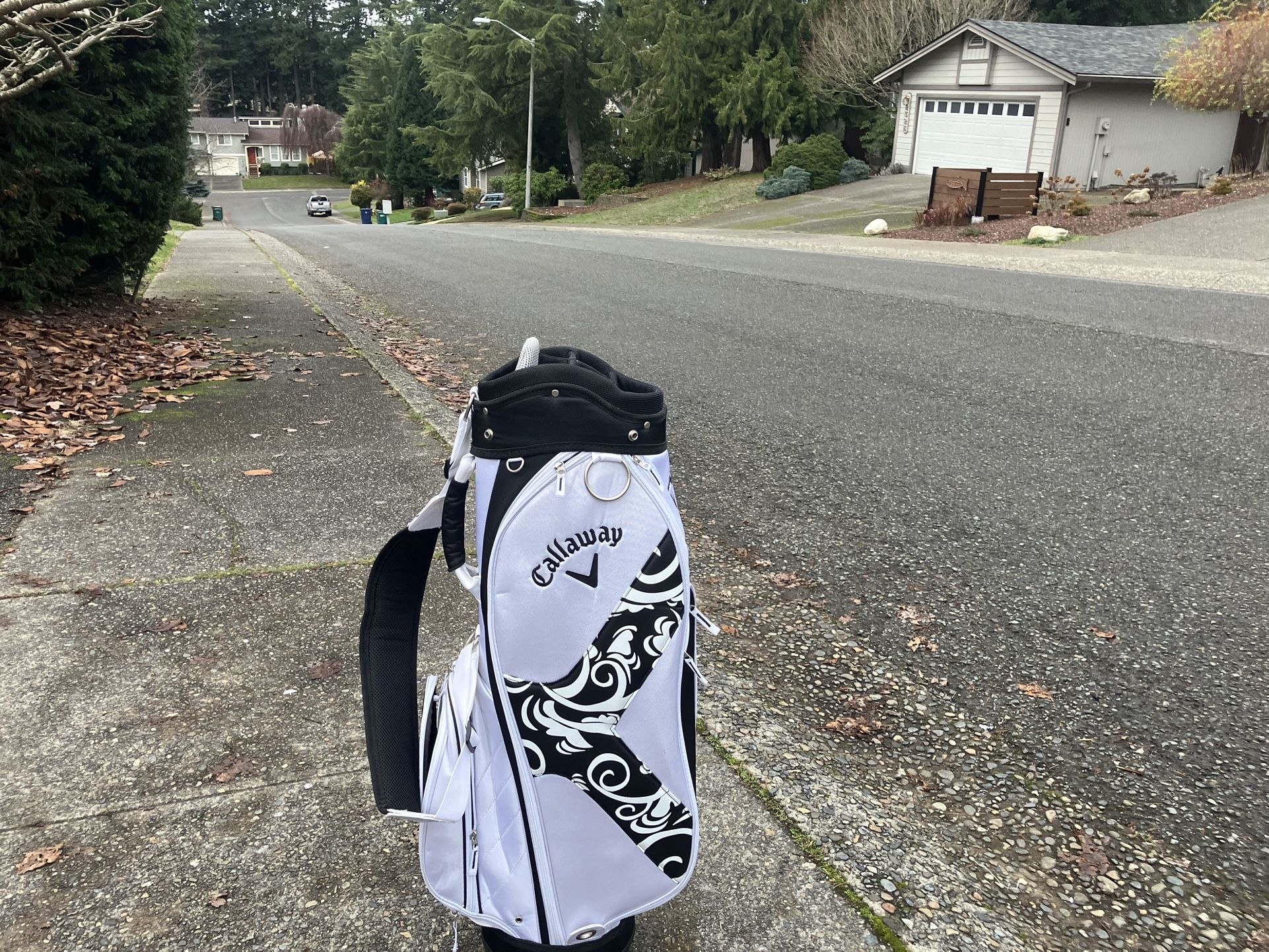 Callaway Golf Bag Golfing Bag Golf Supplies in Good Condition