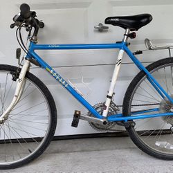Classic 89 Novara Aspen Mountain Bike for Sale in Kirkland WA OfferUp