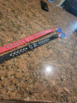 Dog Collar