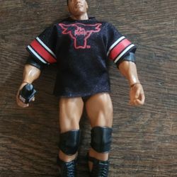 W w e the rock action figure with microphone