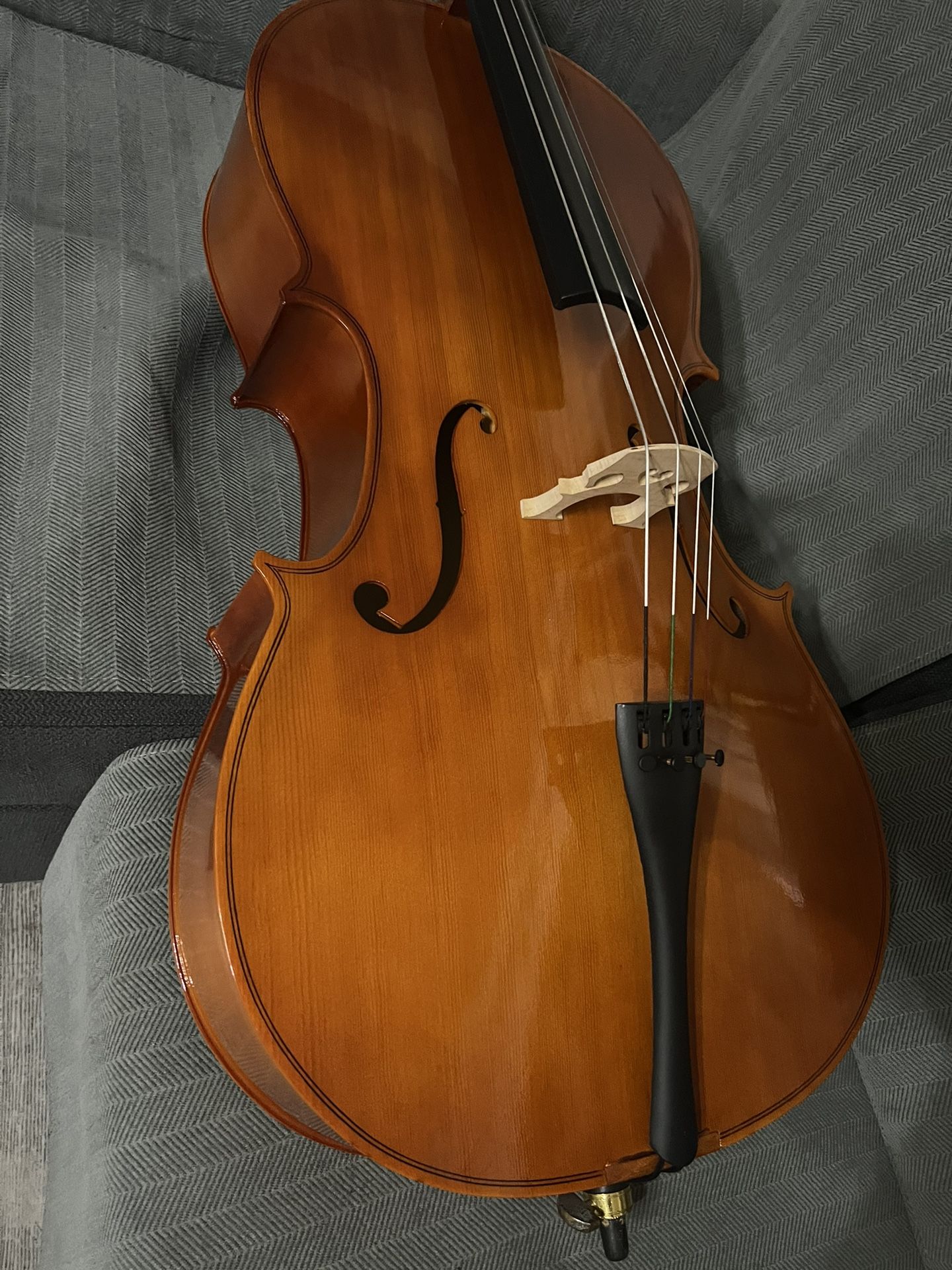 New 4/4 Cello 