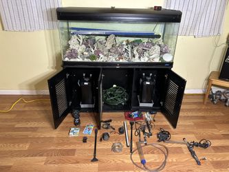 Fish Tank