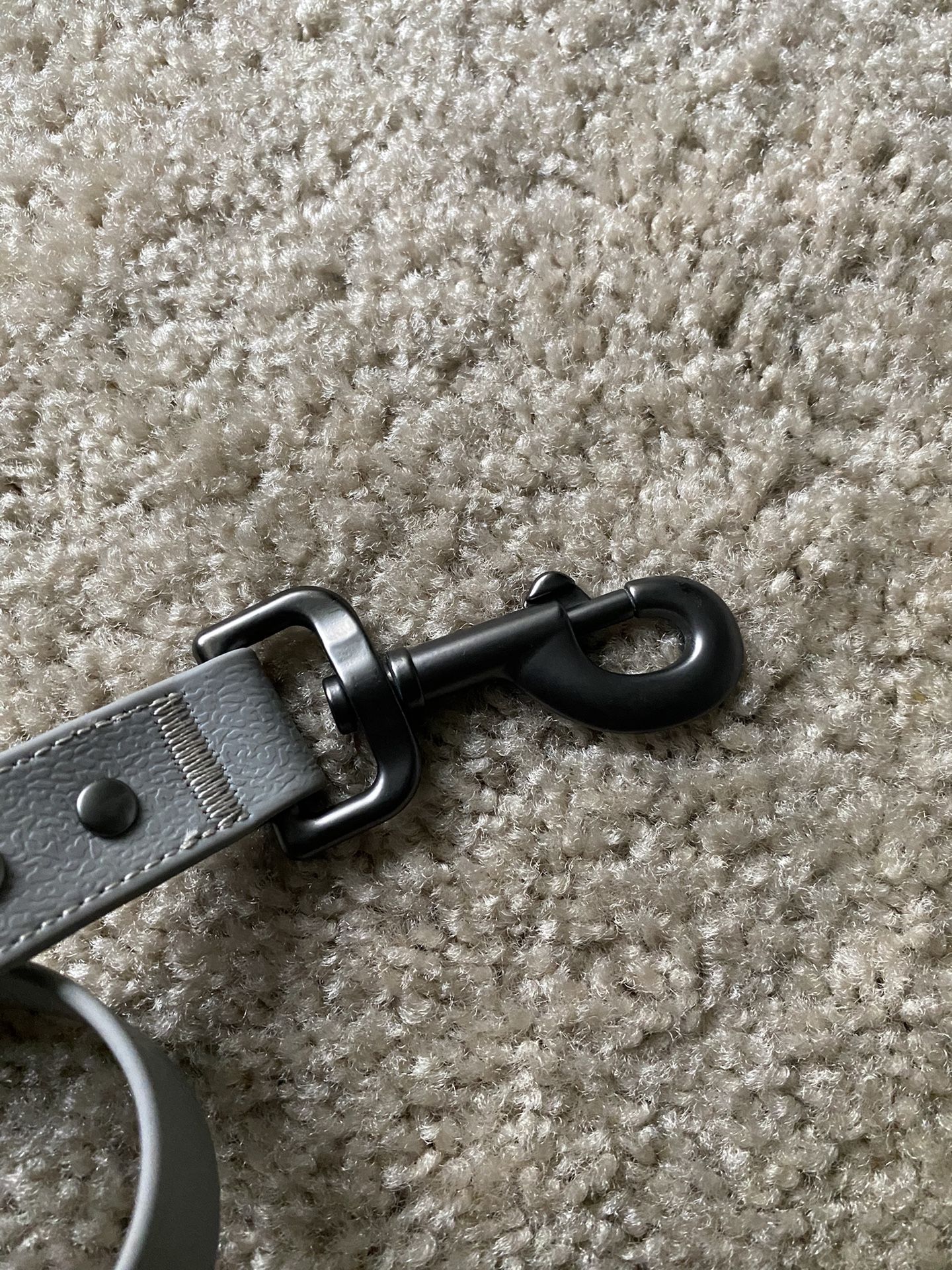 New! 6’ Silver Dog Leash