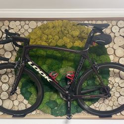 Beautiful Large-format Art Work for Bikes