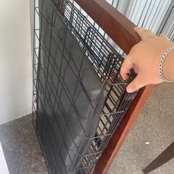 dog Cage