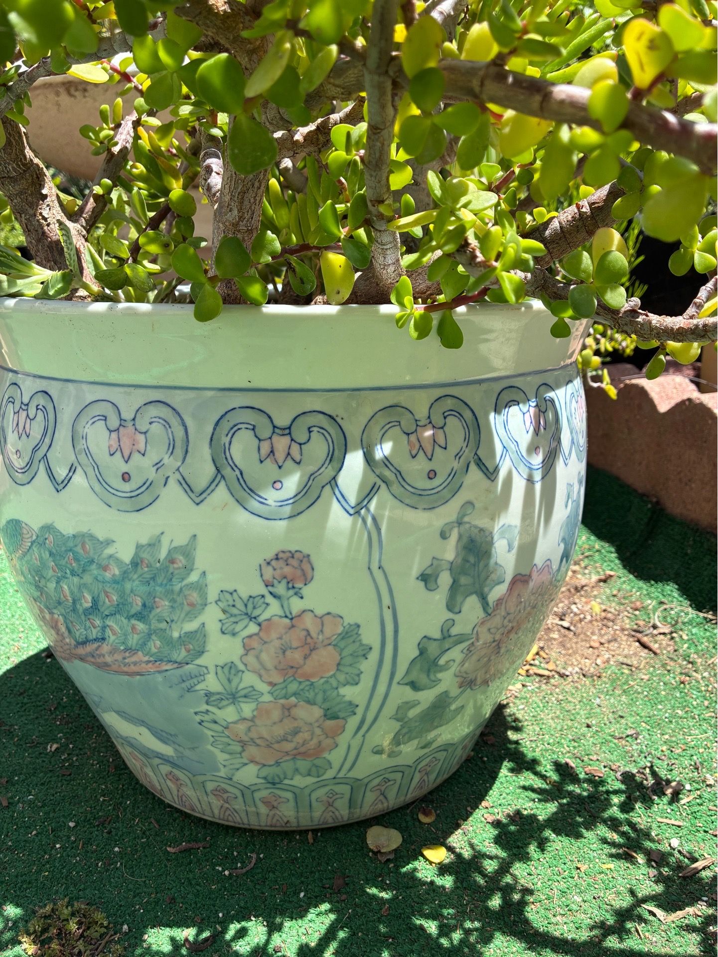Porcelain Large pot with succulents
