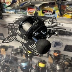 Daiwa Lexa HD 500 Hsp 8.1 Ready To Fish Casting Reel. 