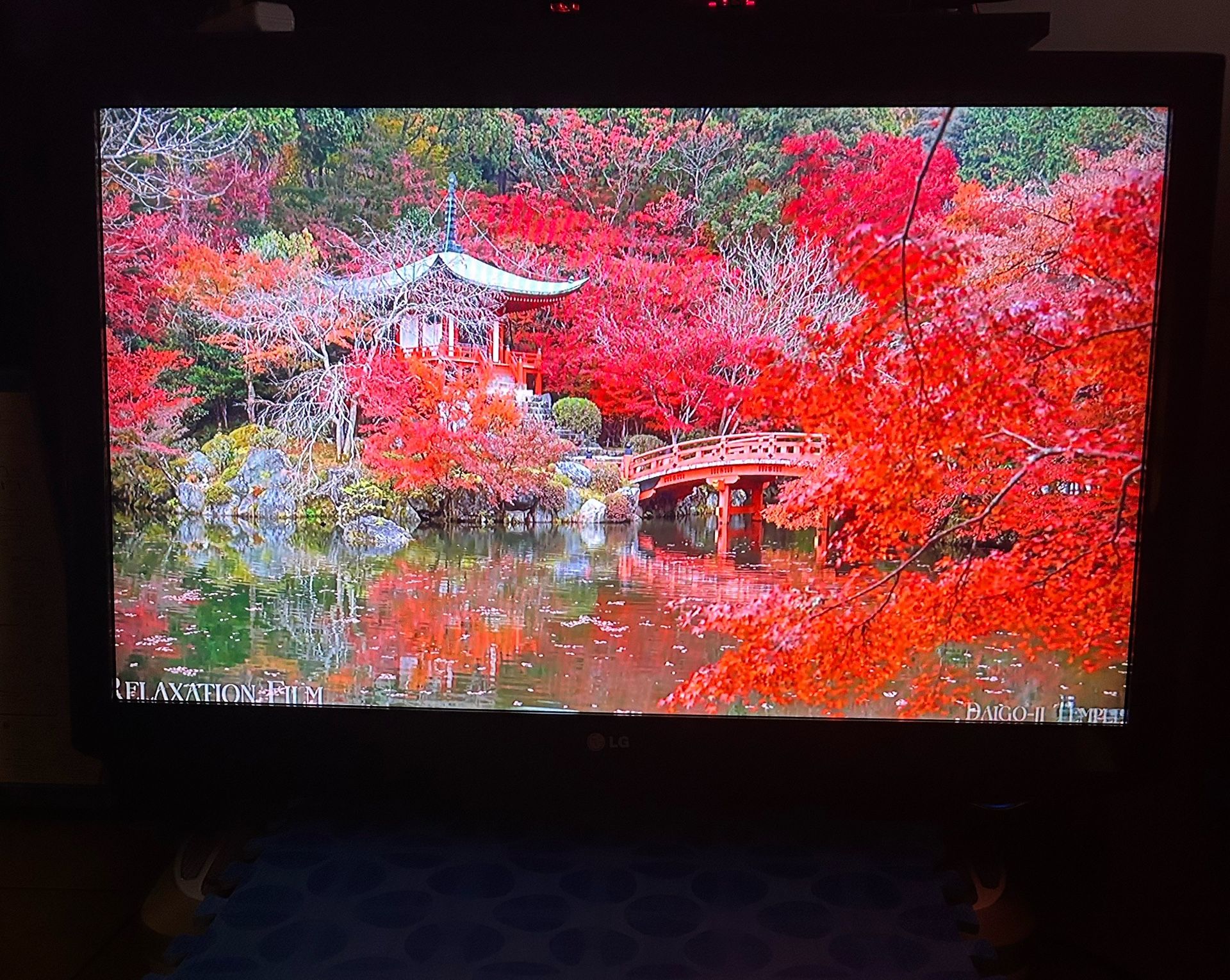 LG 42” LCD HDTV