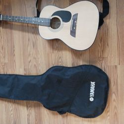 Acoustic Guitar 