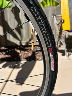 Bike Specialized