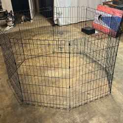 Dog Pen/kid. 