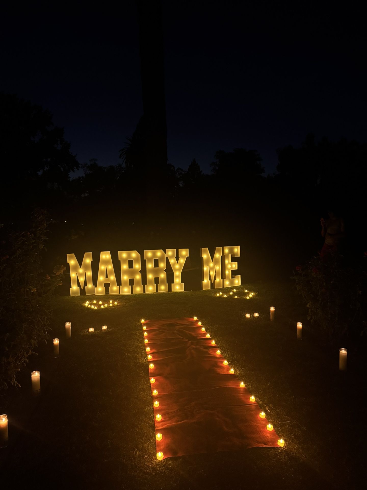 Proposal 