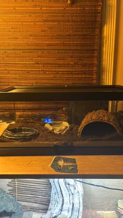 10 gallon reptile tank