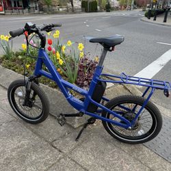 REI Co-Op eBike (GEN e1.1)-830 Miles
