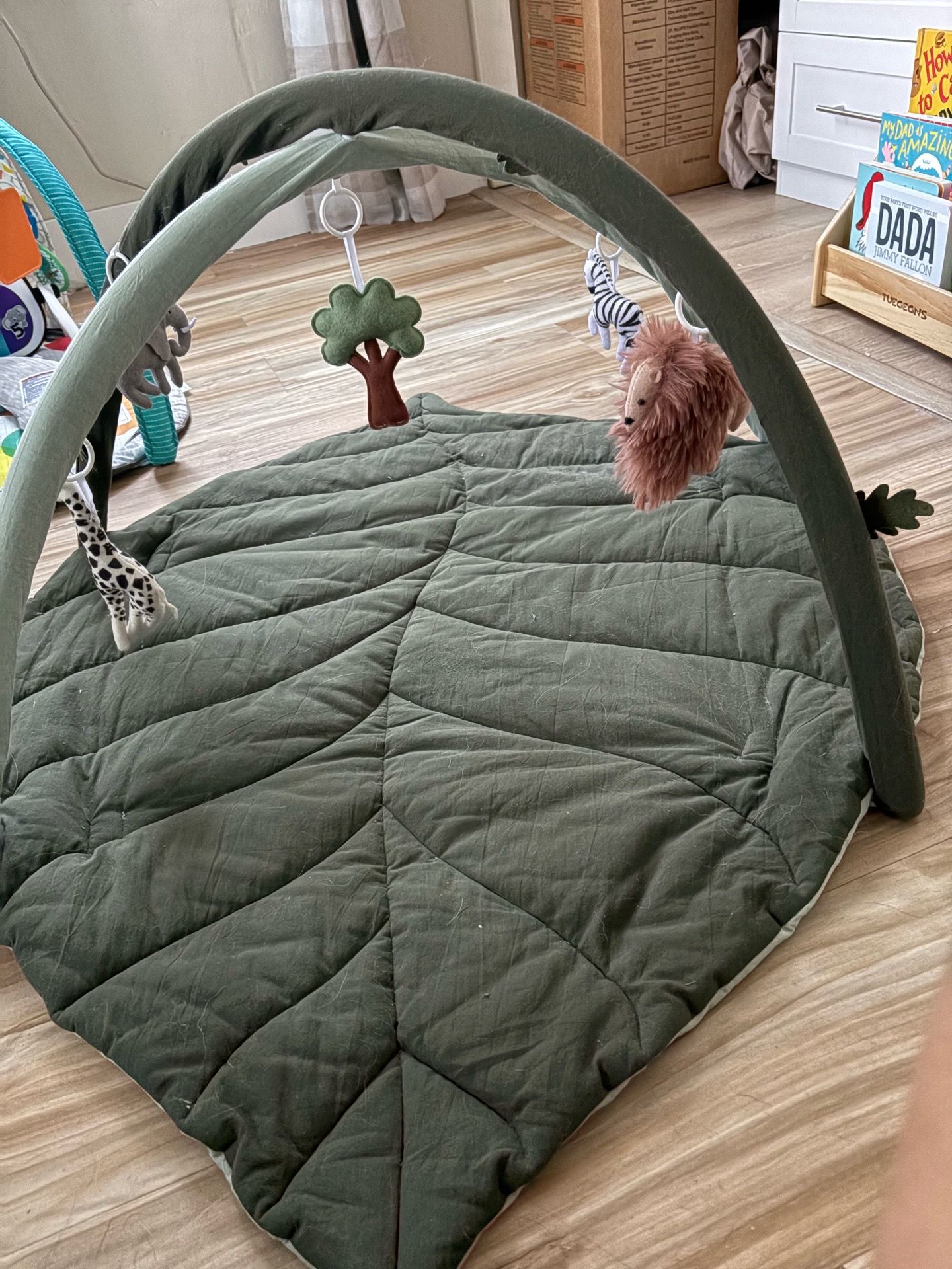 Baby play gym