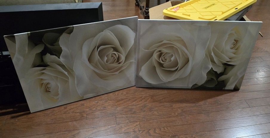 White Rose Canvas Frames