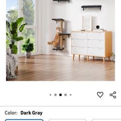 Cat Wall Shelves