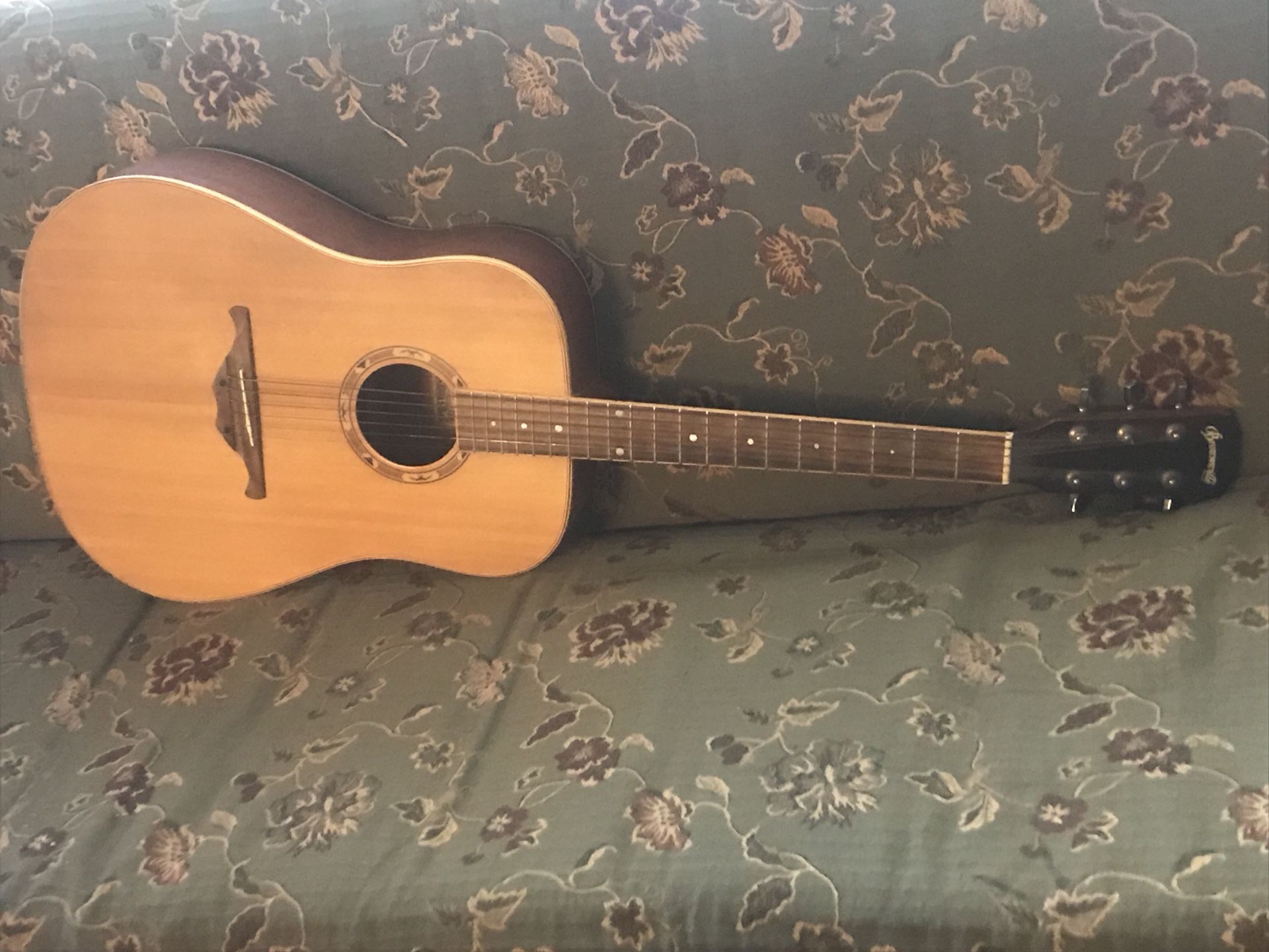 Brownsville acoustic guitar model dg-100 (no case, only guitar)