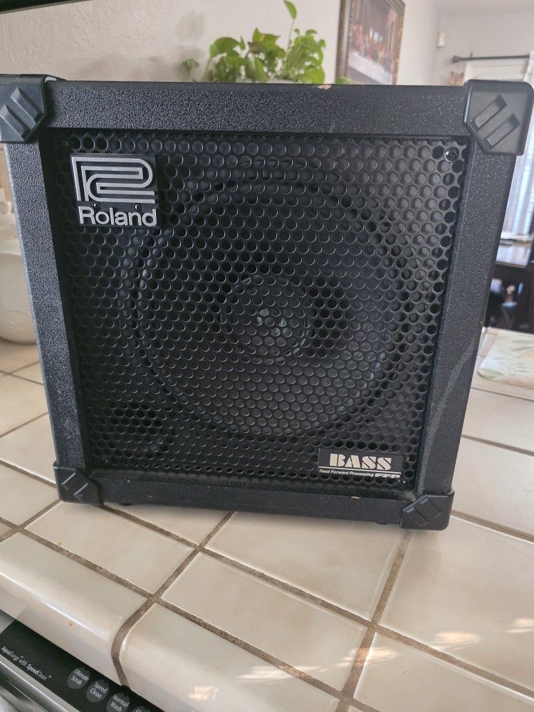 Roland 30w Bass Cube Amp.