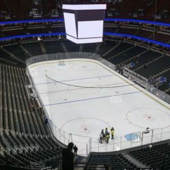 Vegas Golden Knight At Ducks