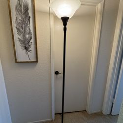 Dark Brown Floor Lamp 