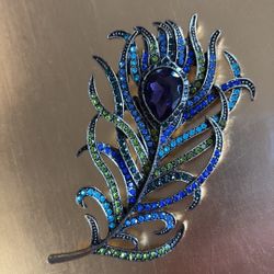 Gorgeous Feather Brooch 