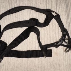 Black Dog Harness