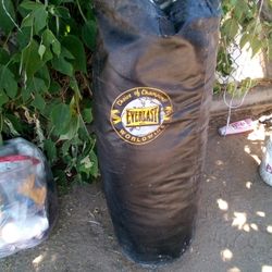 Punching Bag