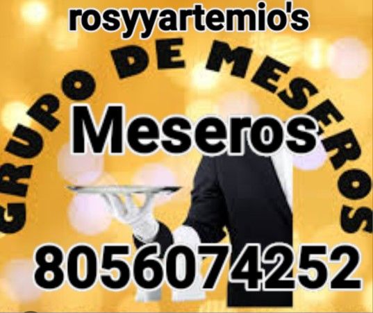 Meseros Para Toda Ocasion 