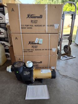 NEW 2HP dual speed inground pool pump 230v high flow NUEVA