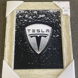 Tesla 22x26