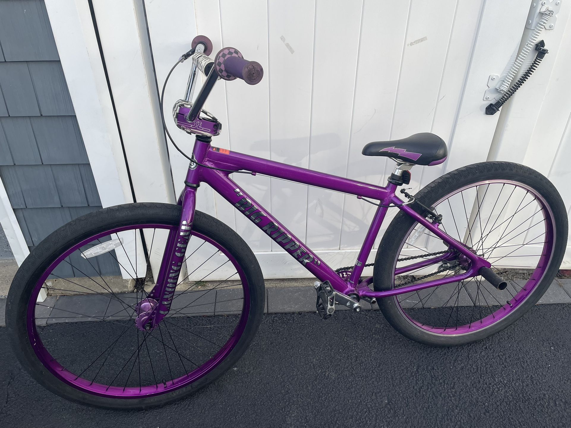 SE Big Ripper (purple)