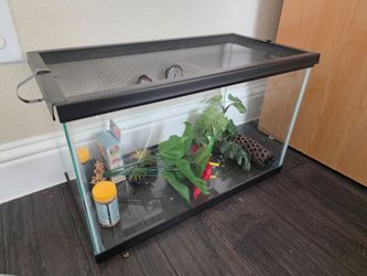 10 Gallon Fish Tank