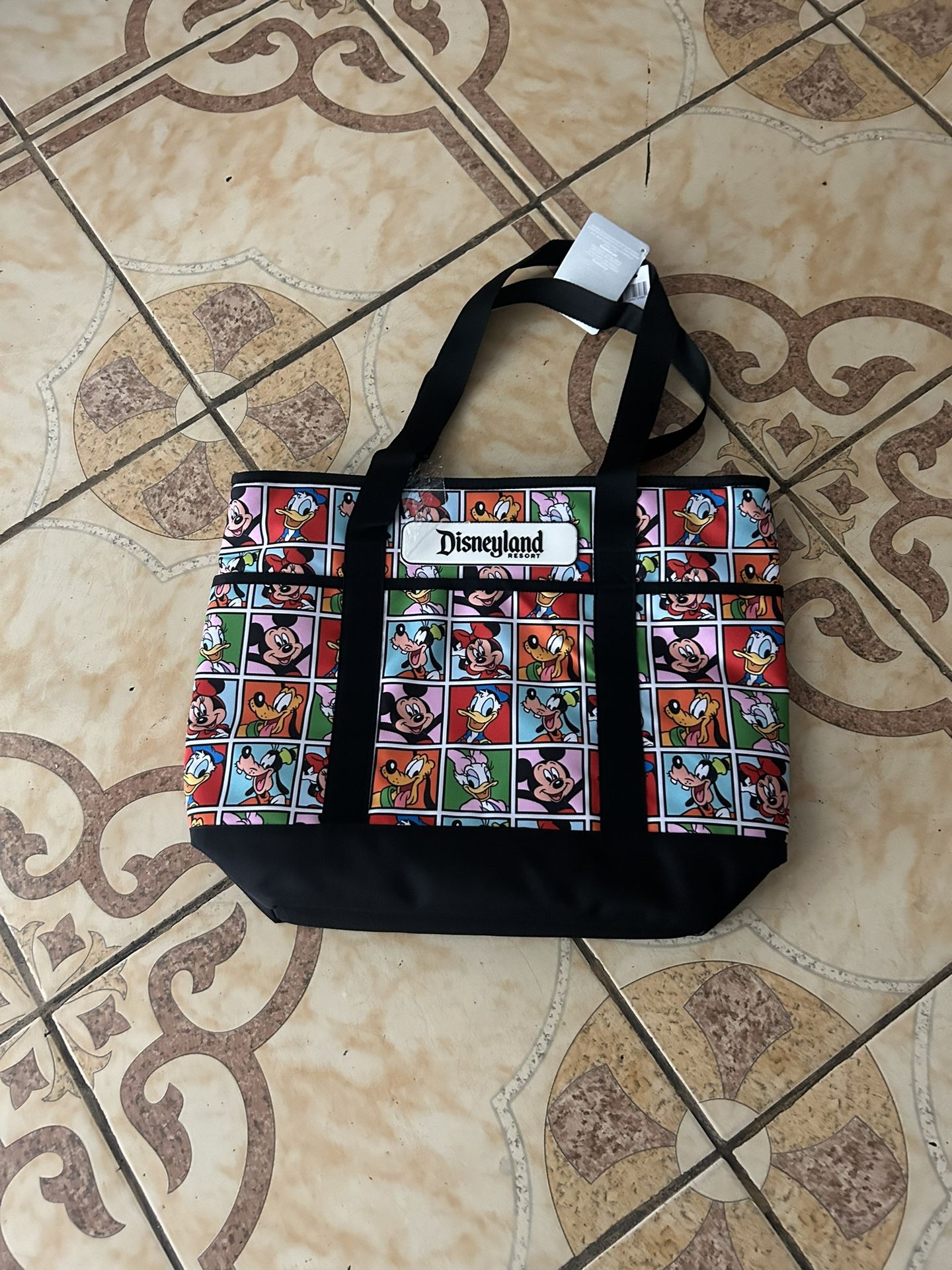 Disneyland Bag