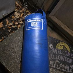 Martial Arts Kickboxing Bag