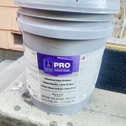 Paint Pro Industrial 