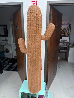 Cactus home decoration brand new