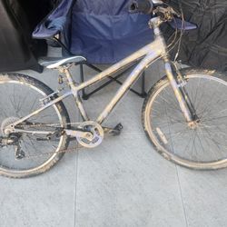 Unisex Trek bike