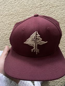 LRG SnapBack Hat