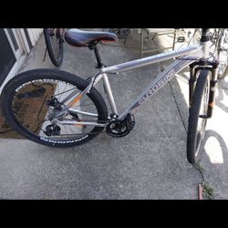 29” Mountain Bike (duel Disc Brakes)