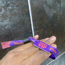 HONEYLAND festival #VIP 2 Day Pass (Sunday)