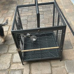 Bird Cage- 
