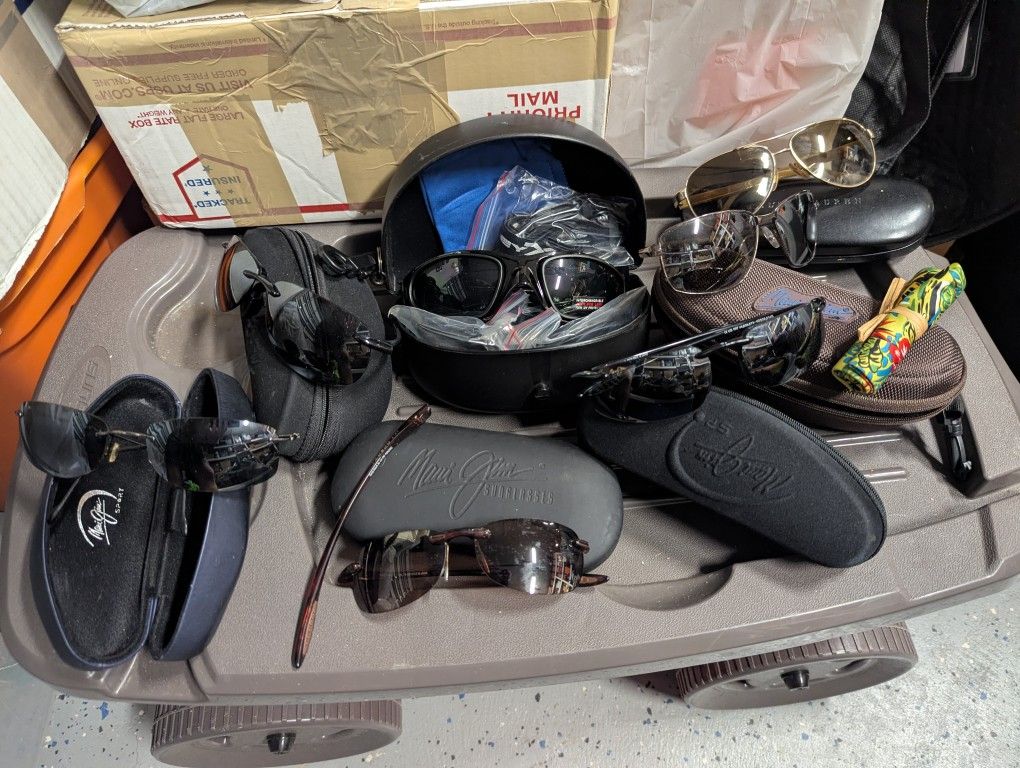 Maui Jim, Ralph Lauren, Wiley X Sunglasses Collection