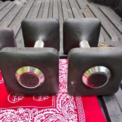 25 LB.   PELOTON  USED  RUBBER  DUMBBELLS 