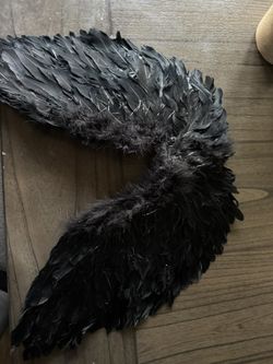 Black Wings