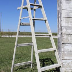 White 2ft Ladders. 2 Step Ladders. Anxiety Free 