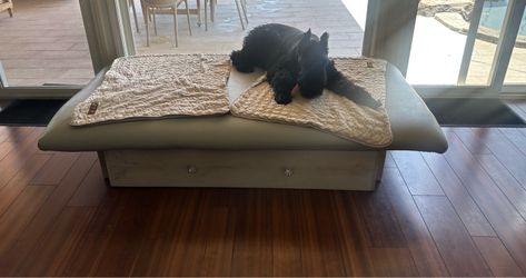 Custom Dog Bed