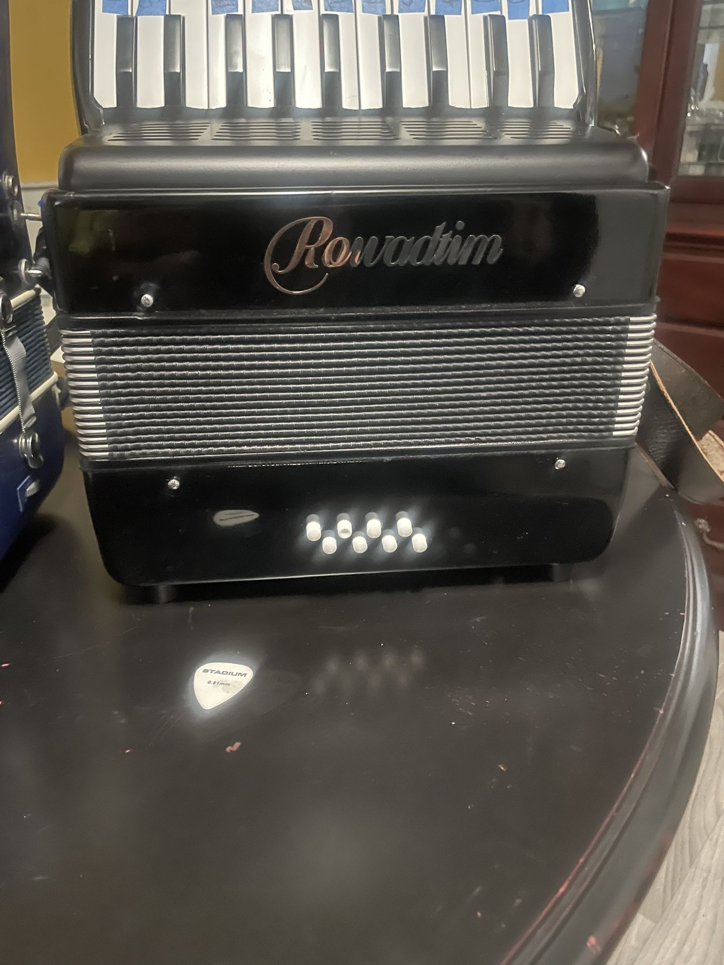 Italian Accordion Musical instruments